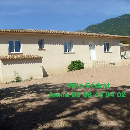 Cedrat