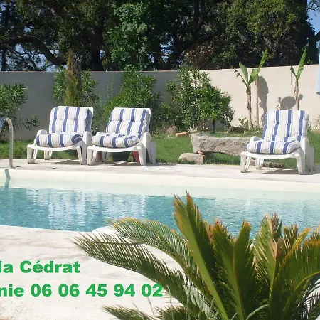Cedrat Porto-Vecchio (Corsica)