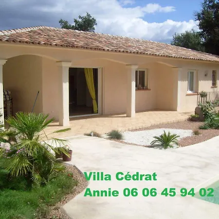 Cedrat