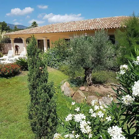Dom wakacyjny Cedrat Porto-Vecchio (Corsica)