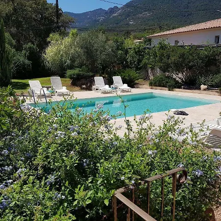 Cedrat Dom wakacyjny Porto-Vecchio (Corsica)