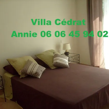 Cedrat