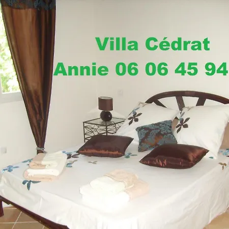 Cedrat Dom wakacyjny Porto-Vecchio (Corsica)